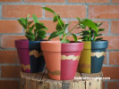 Plant pots, multi-colour plant pots