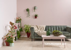 Lounge, soft pink lounge, lounge featuring Resene Soothe