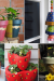 Join in the Paint a Plant Pot Challenge!