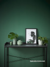 green feature wall, study, office, nook, resene mother nature, tonal greens, bold green